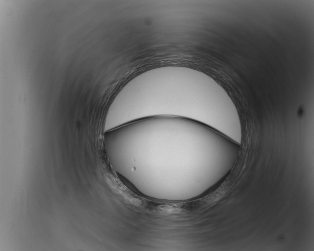 X0000116100284200911230939