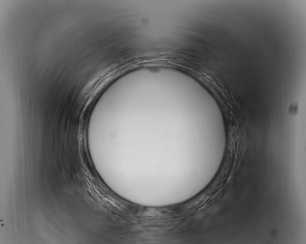 X0000116100290200911230938