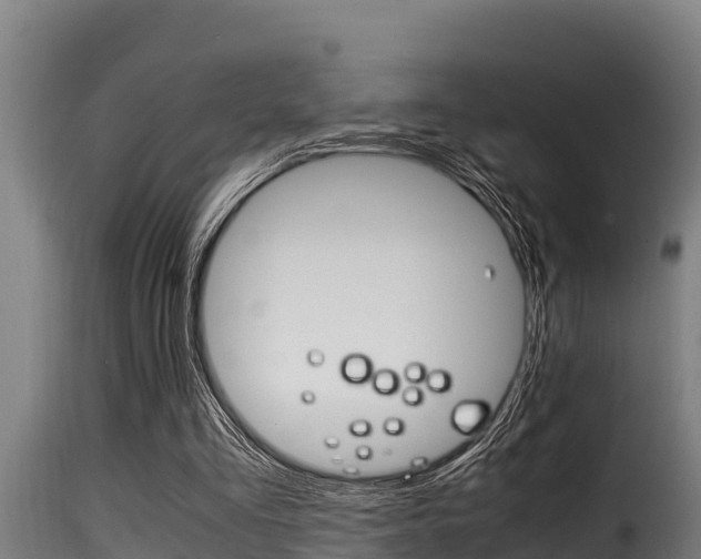 X0000116100293200911230938