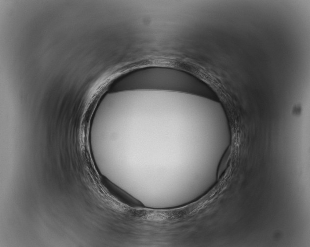 X0000116100294200911230938