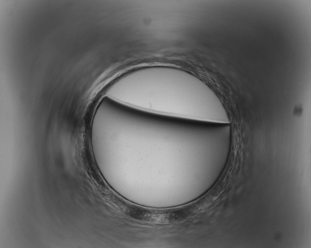 X0000116100295200911230938