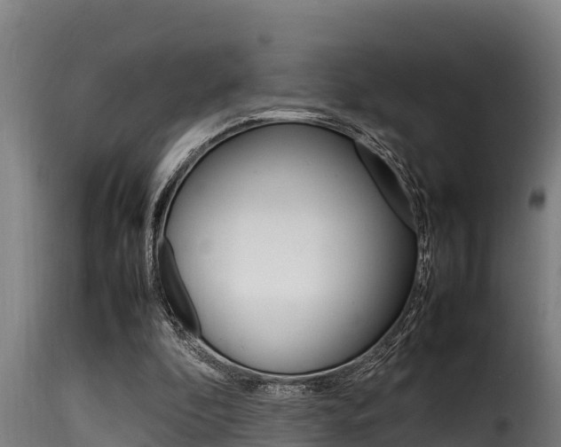 X0000116100296200911230938