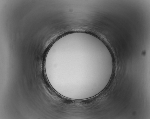 X0000116100299200911230938