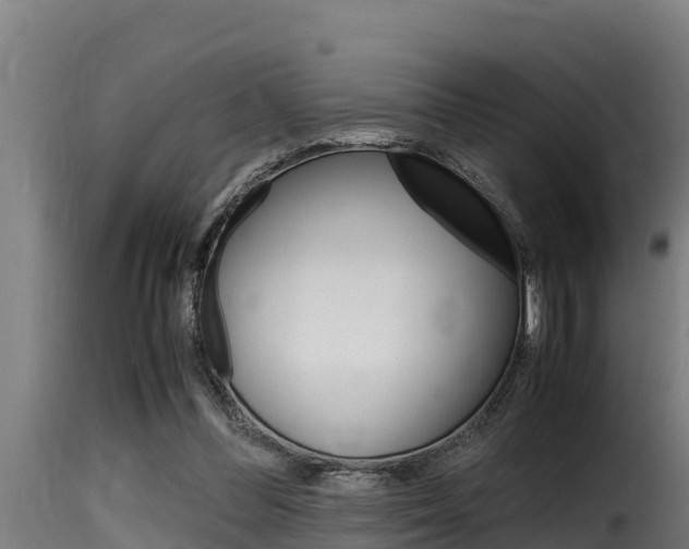 X0000116100300200911230938