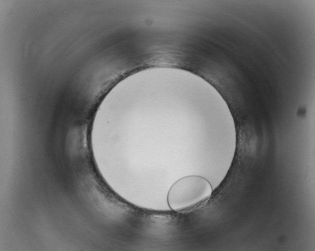 X0000116100302200911230938