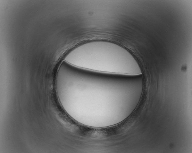 X0000116100303200911230938