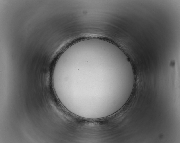 X0000116100304200911230938