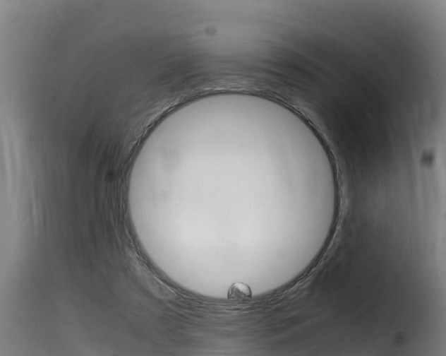 X0000116100305200911230938