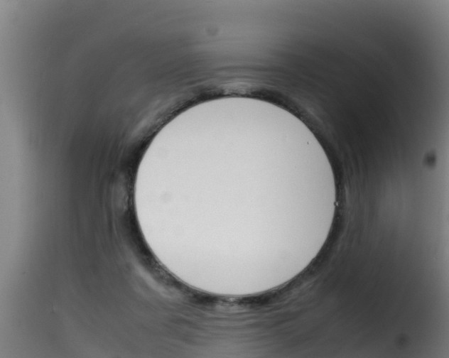 X0000116100311200911230938
