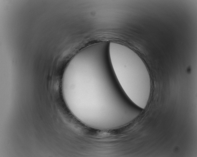 X0000116100315200911230938