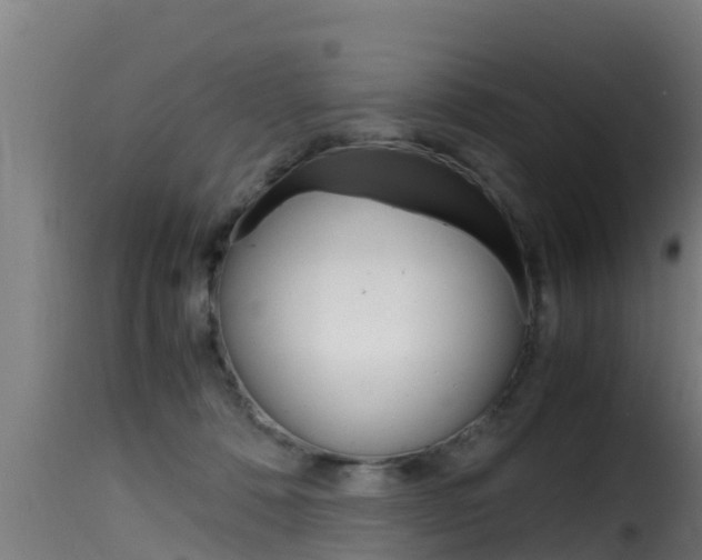 X0000116100320200911230938