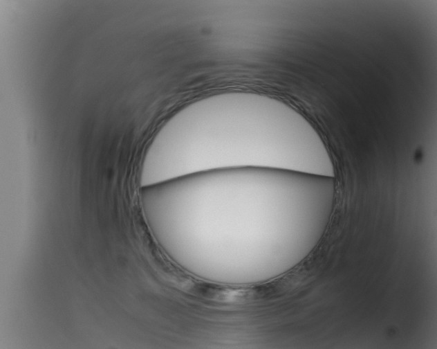 X0000116100323200911230938