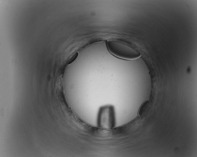 X0000116100325200911230938
