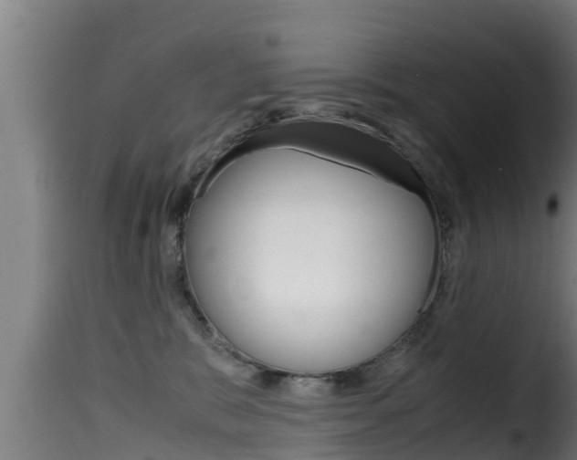 X0000116100327200911230938