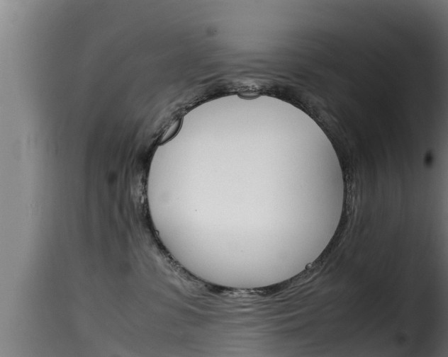 X0000116100331200911230938