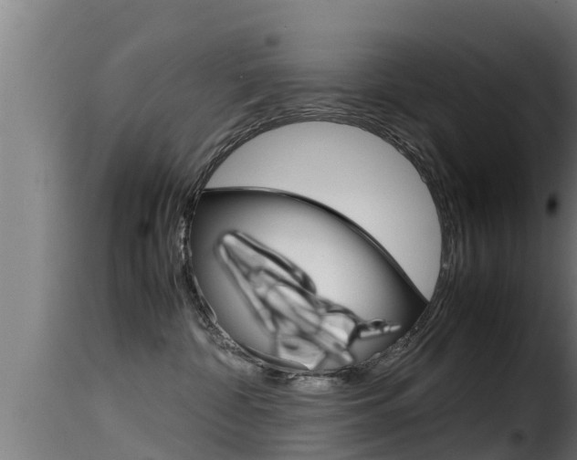 X0000116100332200911230938