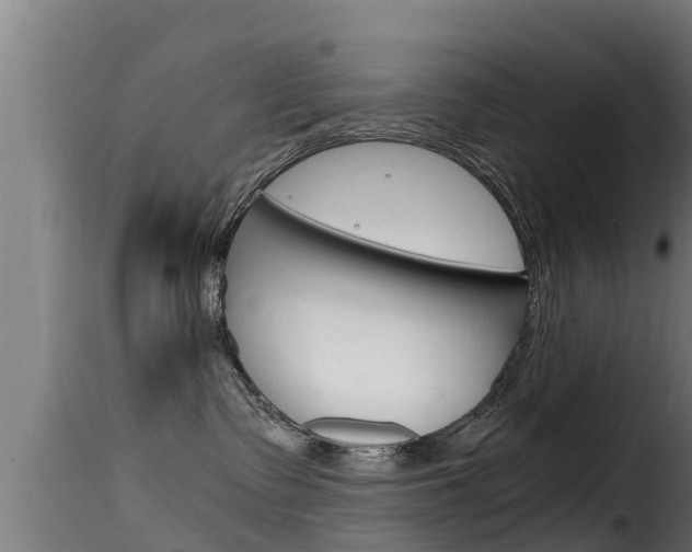 X0000116100335200911230938