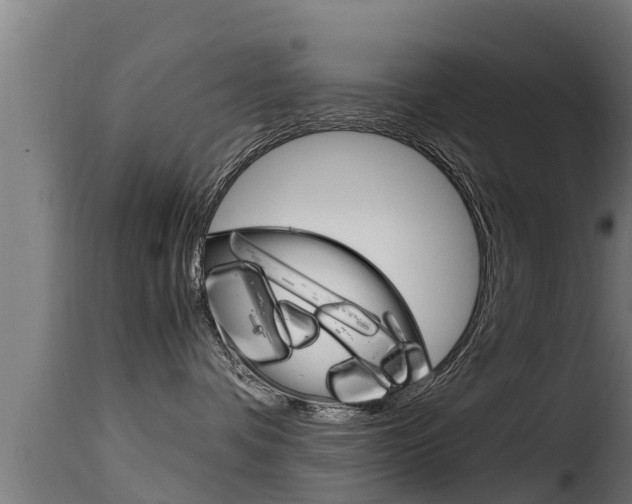 X0000116100336200911230938