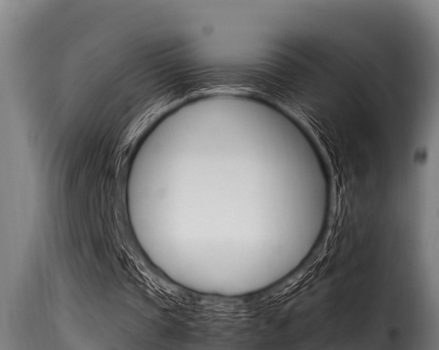 X0000116100337200911230937