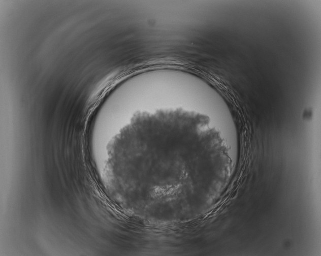 X0000116100339200911230937