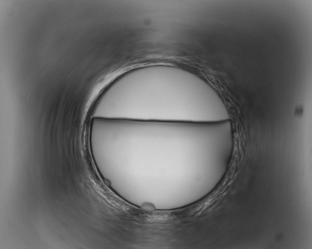 X0000116100342200911230937