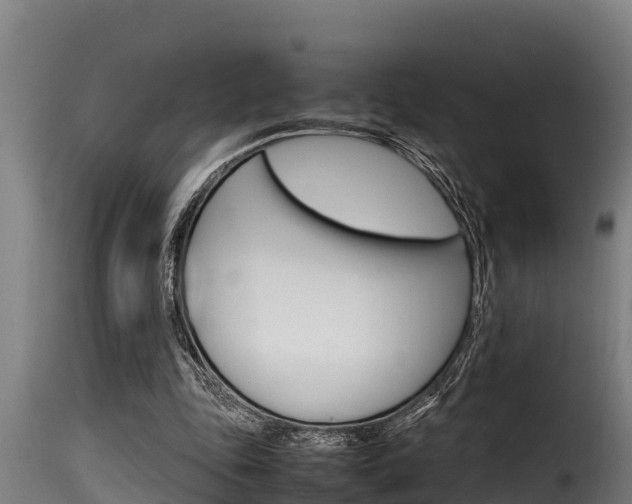 X0000116100343200911230937