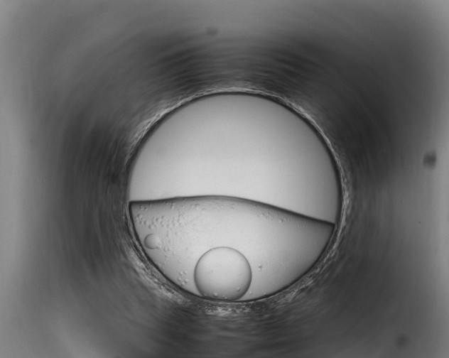 X0000116100345200911230937