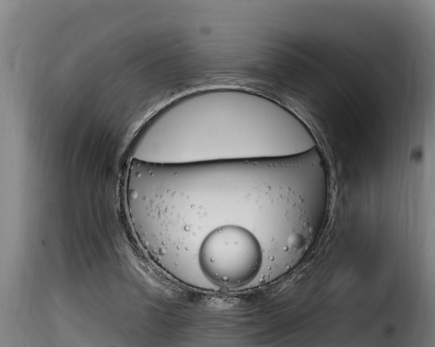 X0000116100346200911230937