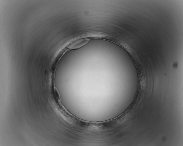 X0000116100350200911230937