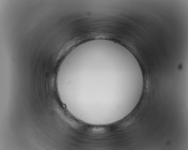 X0000116100357200911230937