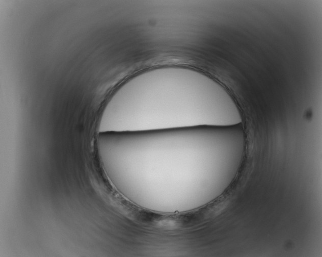 X0000116100358200911230937