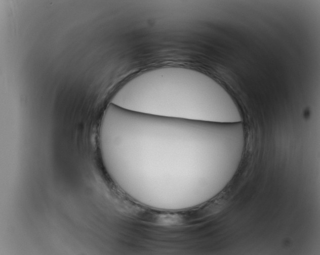 X0000116100363200911230937