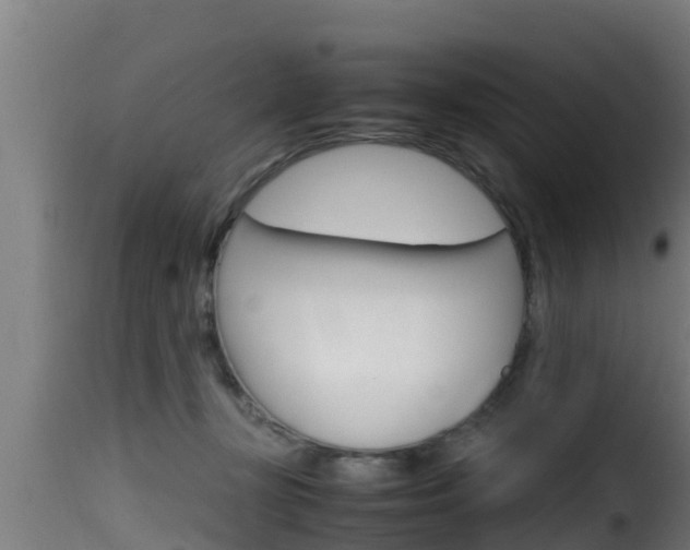 X0000116100367200911230937