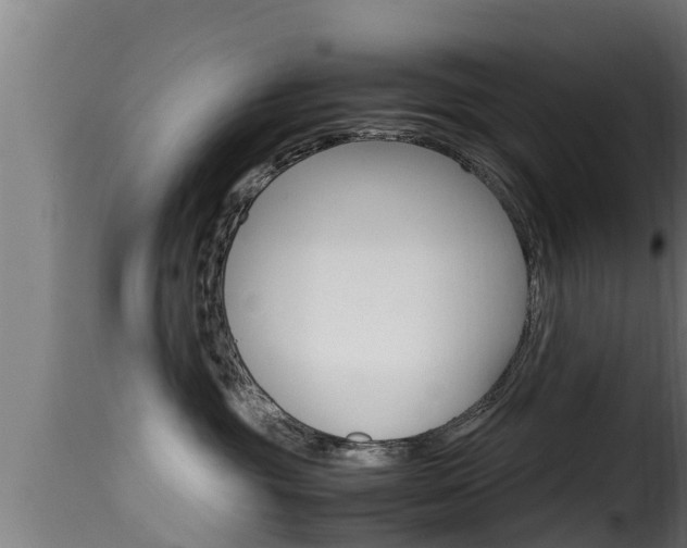 X0000116100381200911230938