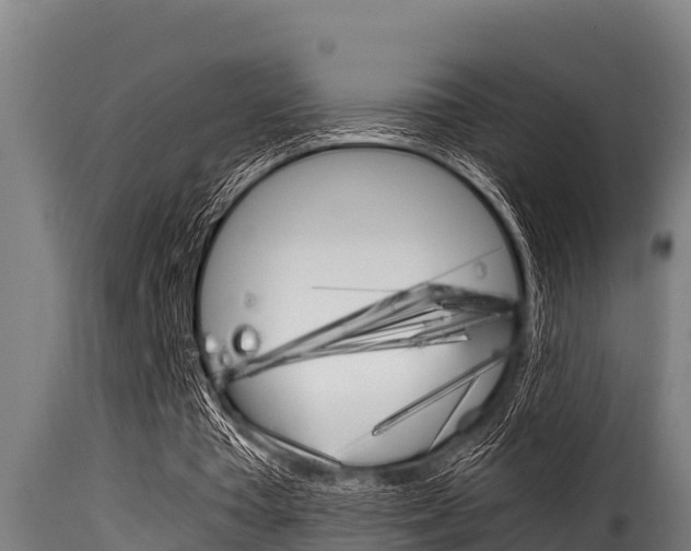 X0000116100385200911230937