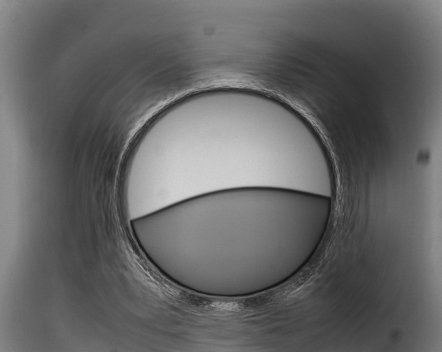 X0000116100391200911230937