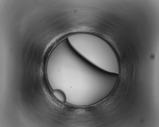 X0000116100392200911230937