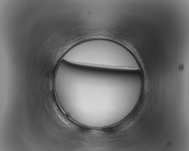 X0000116100393200911230937