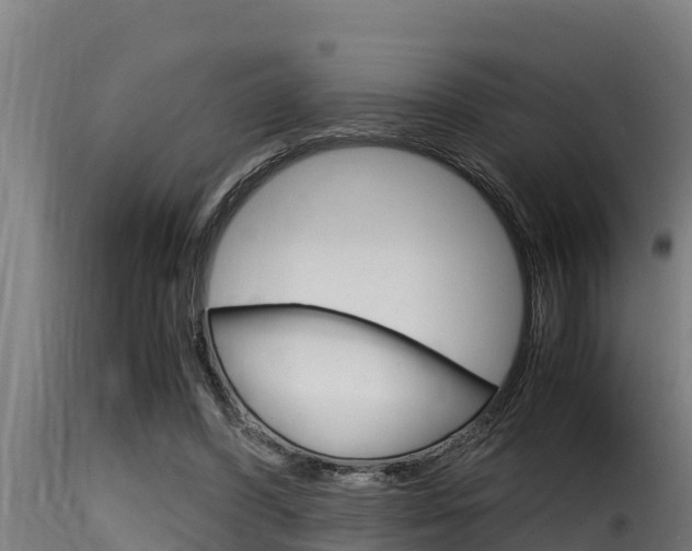 X0000116100396200911230937