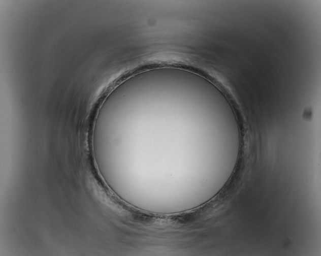 X0000116100399200911230937