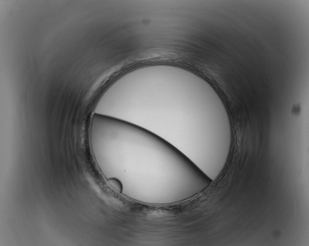 X0000116100400200911230937