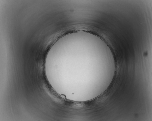 X0000116100402200911230937