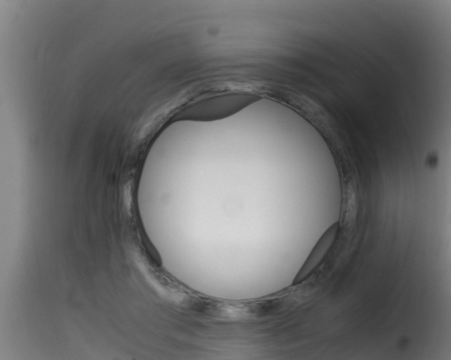 X0000116100405200911230937