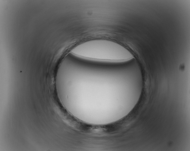 X0000116100407200911230936
