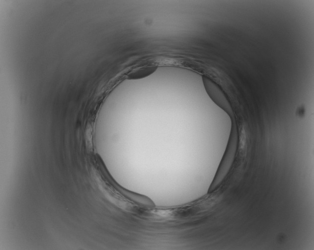 X0000116100409200911230936