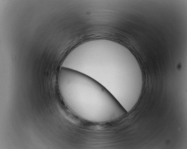 X0000116100412200911230936