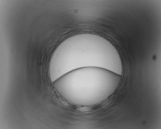 X0000116100417200911230936