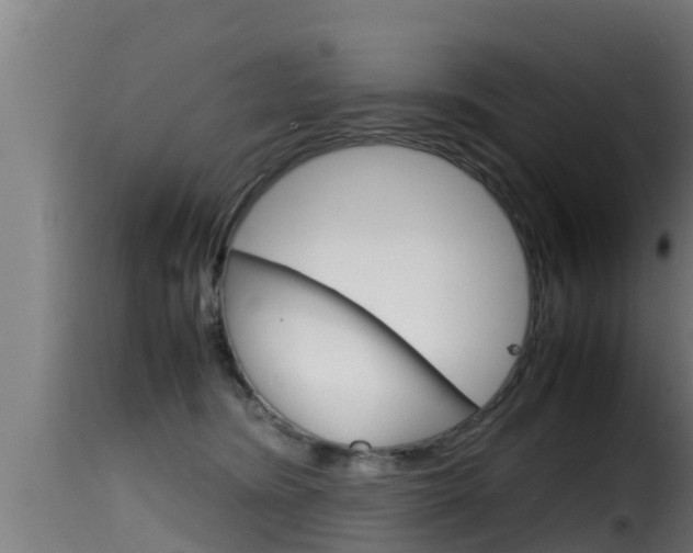 X0000116100420200911230936
