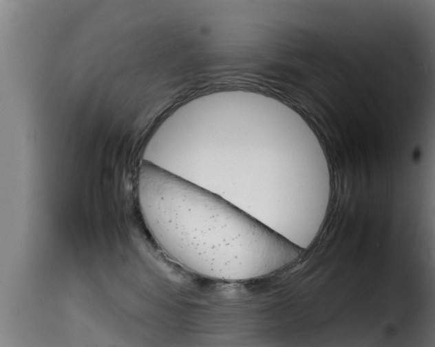 X0000116100424200911230936