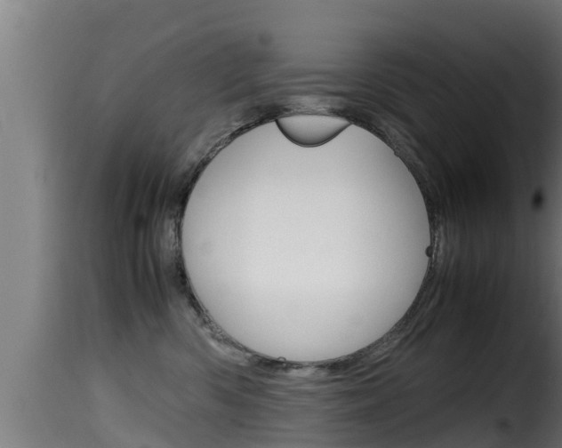 X0000116100426200911230936